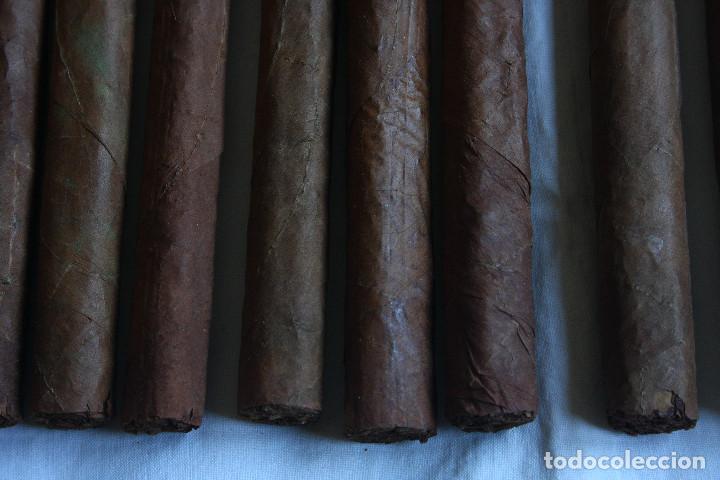 Cajas de puros: MAZO 12 PUROS - Foto 4
