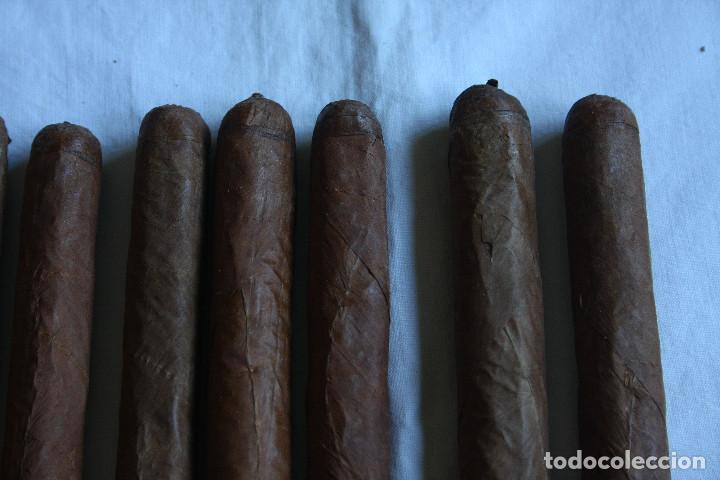 Cajas de puros: MAZO 12 PUROS - Foto 5