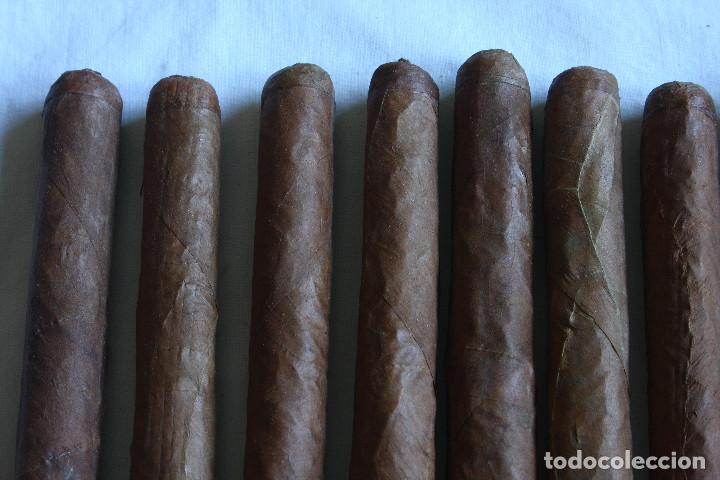 Cajas de puros: MAZO 12 PUROS - Foto 6