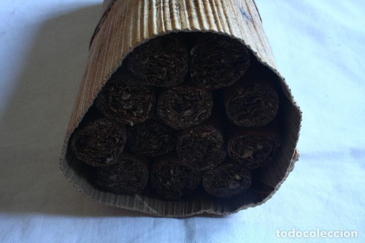 Cajas de puros: MAZO 12 PUROS - Foto 10