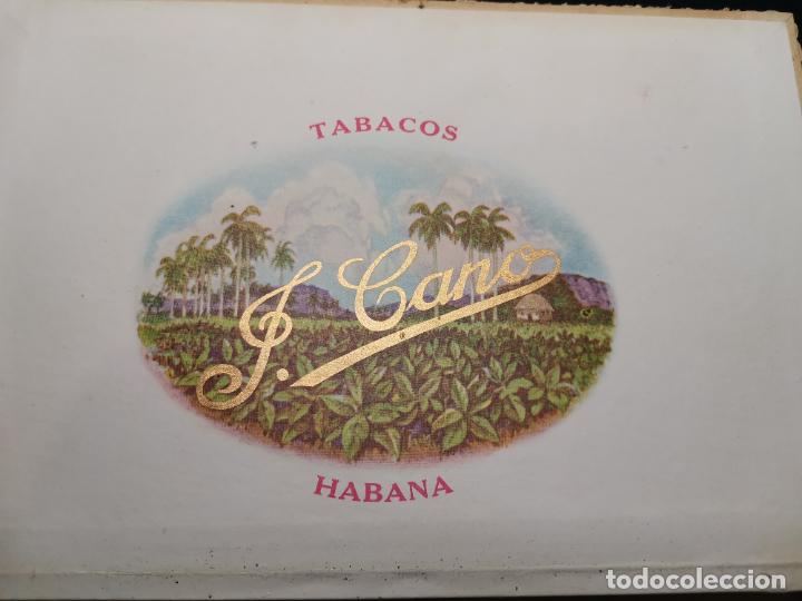 Cajas de puros: CAJA DE PUROS VAC&Iacute;A LA FLOR DE CANO - Foto 2