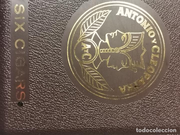 Cajas de puros: PETACA CIGARS ANTONIO Y CLEOPATRA - Foto 4