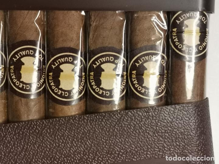 Cajas de puros: PETACA CIGARS ANTONIO Y CLEOPATRA - Foto 6