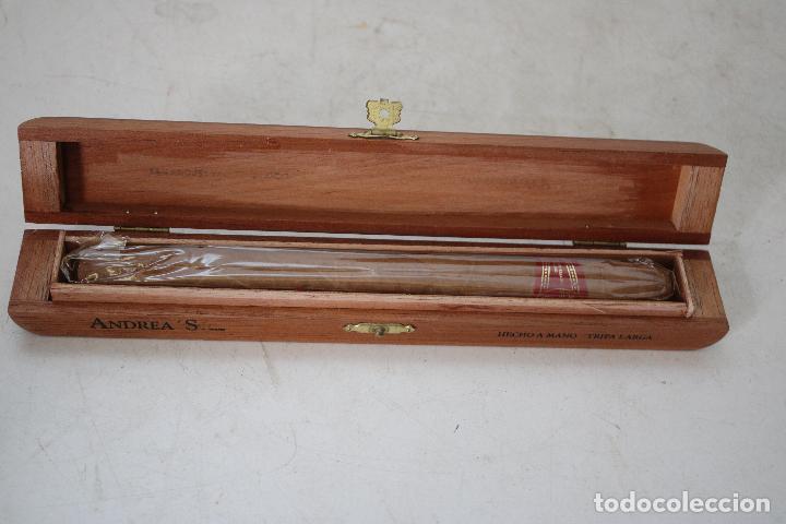 Cajas de puros: puro caja andreas mexico - Foto 1