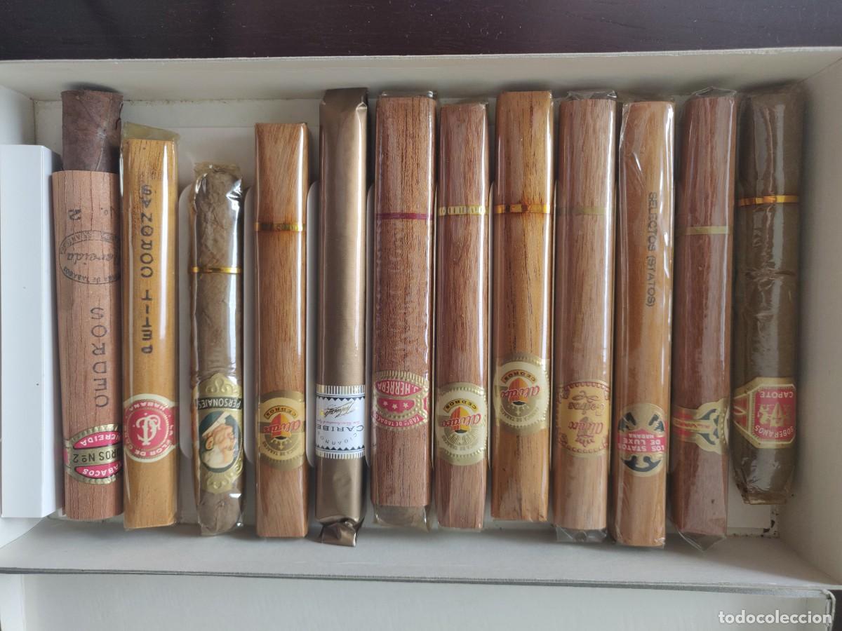 caja con 12 puros variados - Compra venta en todocoleccion