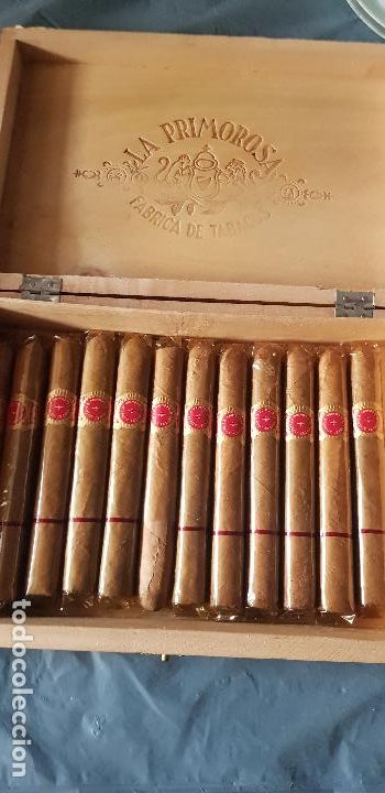 Cajas de puros: LA PRIMOROSA PETIT CEDROS - Foto 6