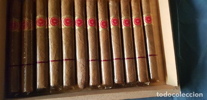 Cajas de puros: LA PRIMOROSA PETIT CEDROS - Foto 1