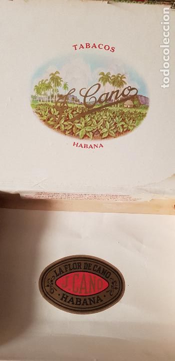 Cajas de puros: CAJA DE PUROS,USADA PARA PONER OBJETOS - Foto 7