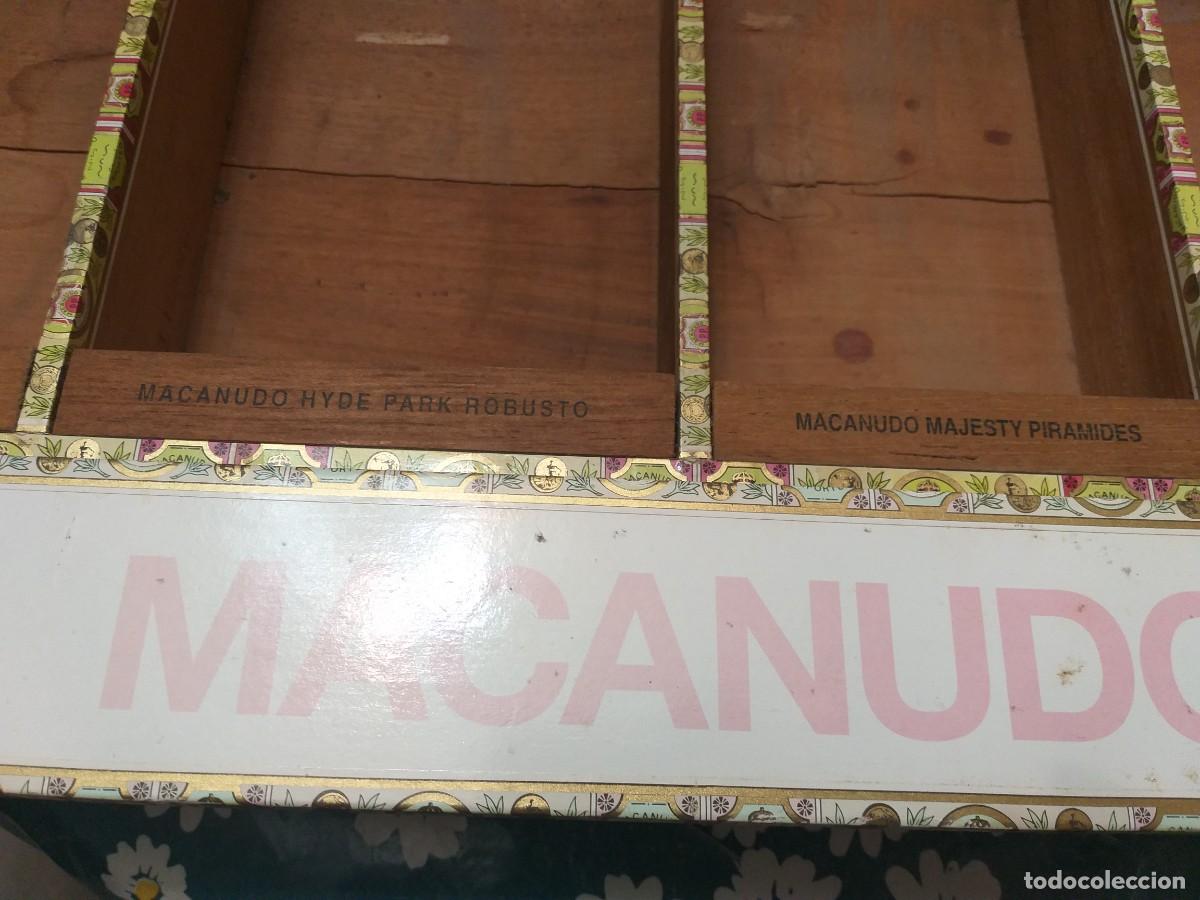 Cajas de puros: expositor de puros MACANUDO - Foto 16
