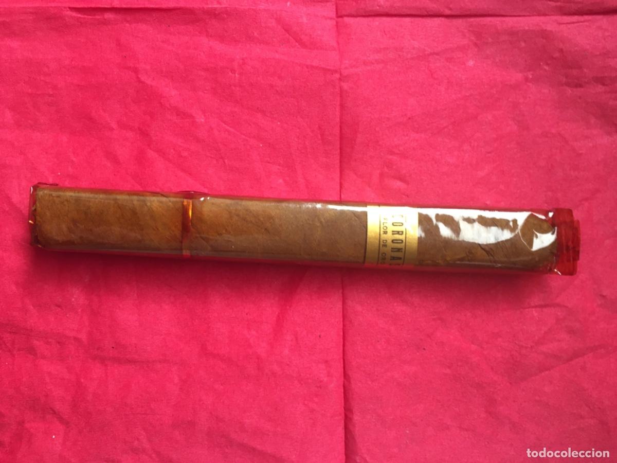 Cajas de puros: Coronas. Flor de oro. Puro. Precintado. - Foto 1