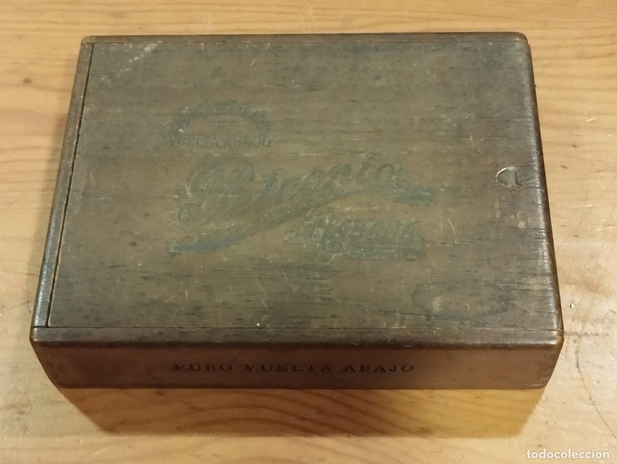 Cajas de puros: CAJA DE TABACOS PETRONIO (VACIA). - Foto 1