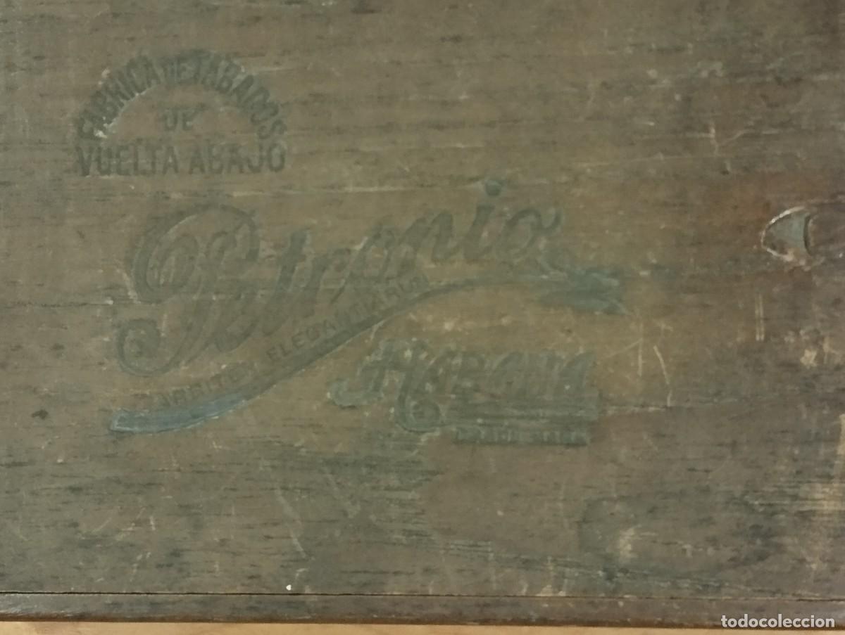 Cajas de puros: CAJA DE TABACOS PETRONIO (VACIA). - Foto 2