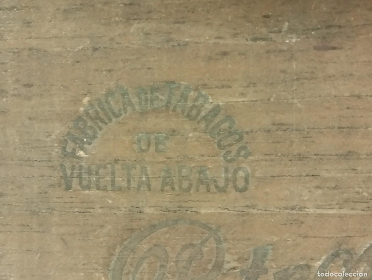 Cajas de puros: CAJA DE TABACOS PETRONIO (VACIA). - Foto 3