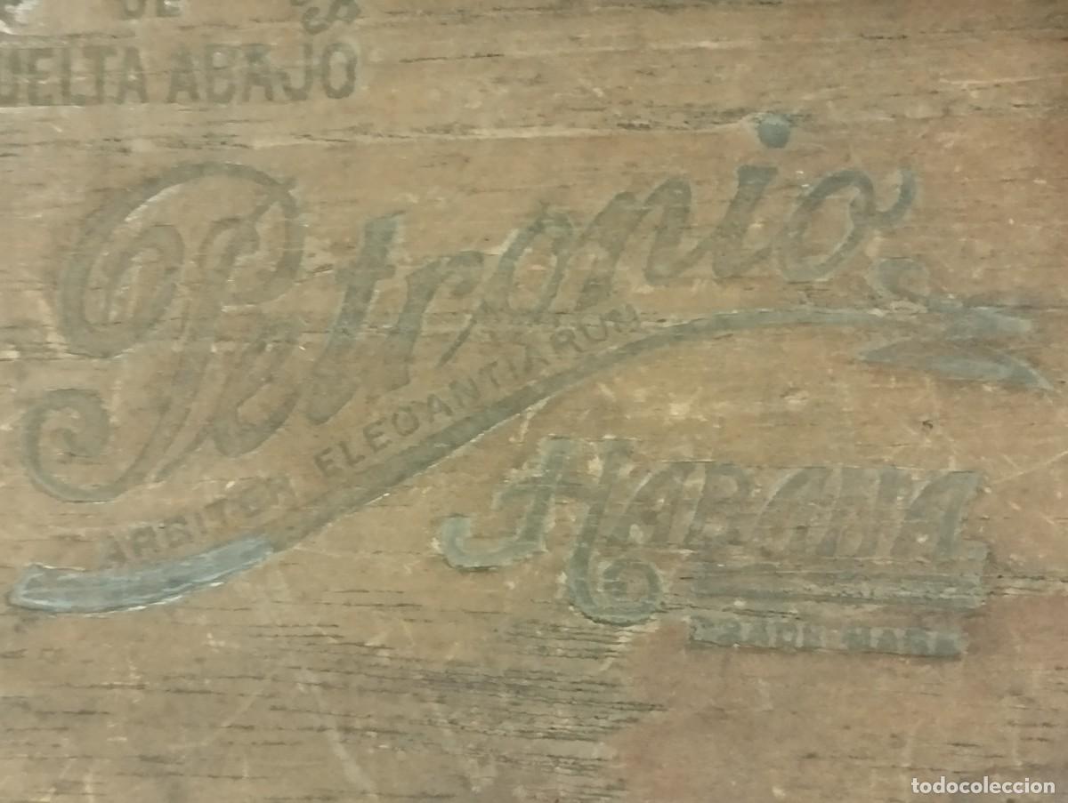 Cajas de puros: CAJA DE TABACOS PETRONIO (VACIA). - Foto 4