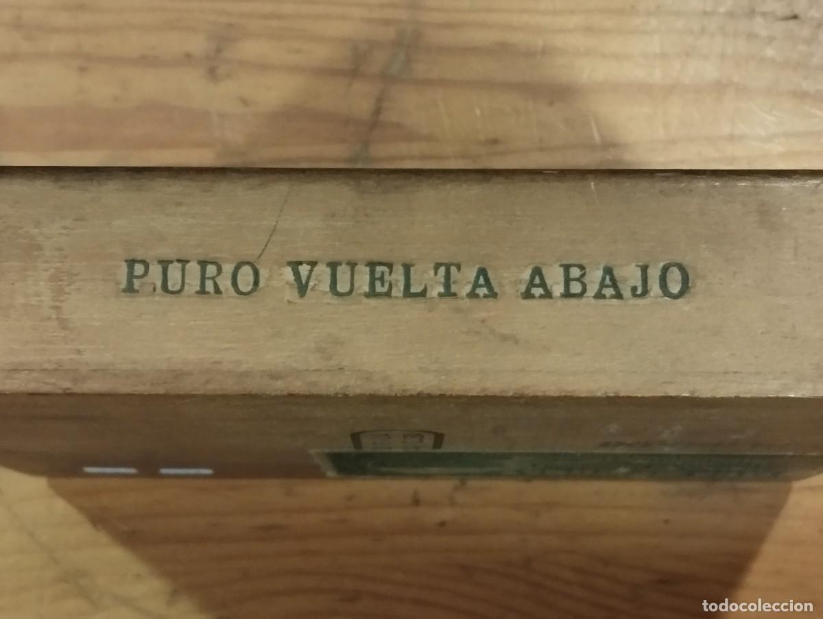 Cajas de puros: CAJA DE TABACOS PETRONIO (VACIA). - Foto 5