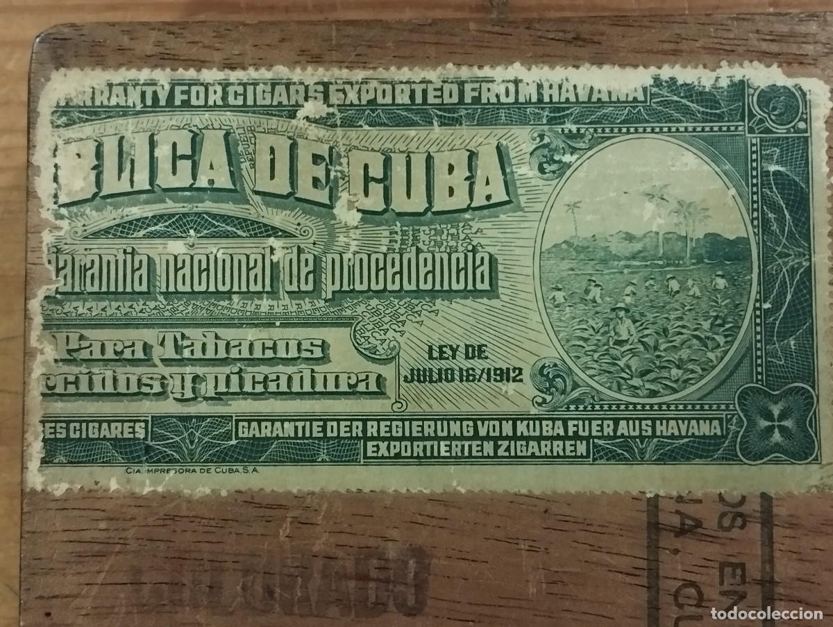 Cajas de puros: CAJA DE TABACOS PETRONIO (VACIA). - Foto 7