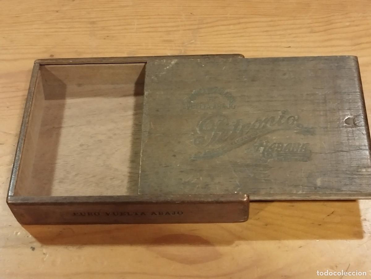 Cajas de puros: CAJA DE TABACOS PETRONIO (VACIA). - Foto 8
