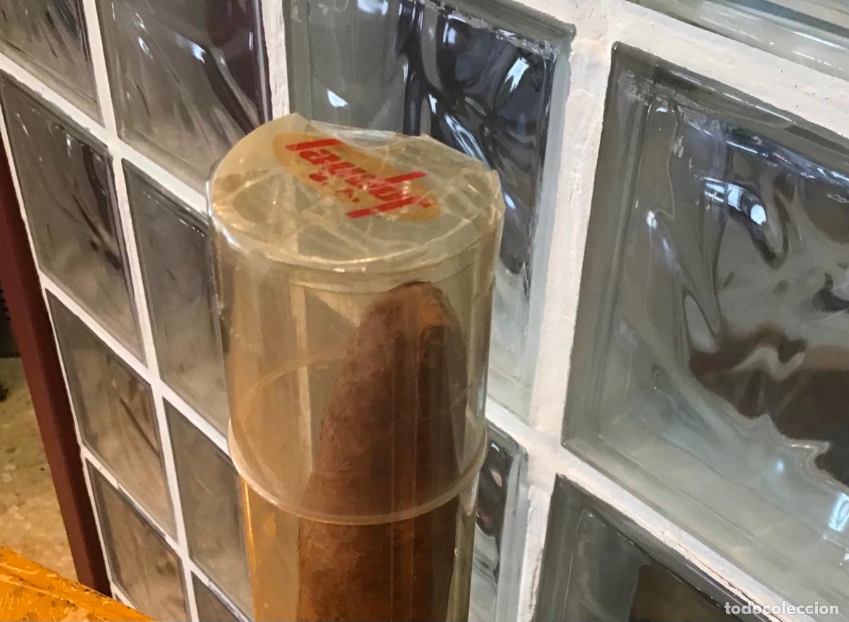 Cajas de puros: PURO DE GRAN TAMA&Ntilde;O, LAUDOR - Foto 3