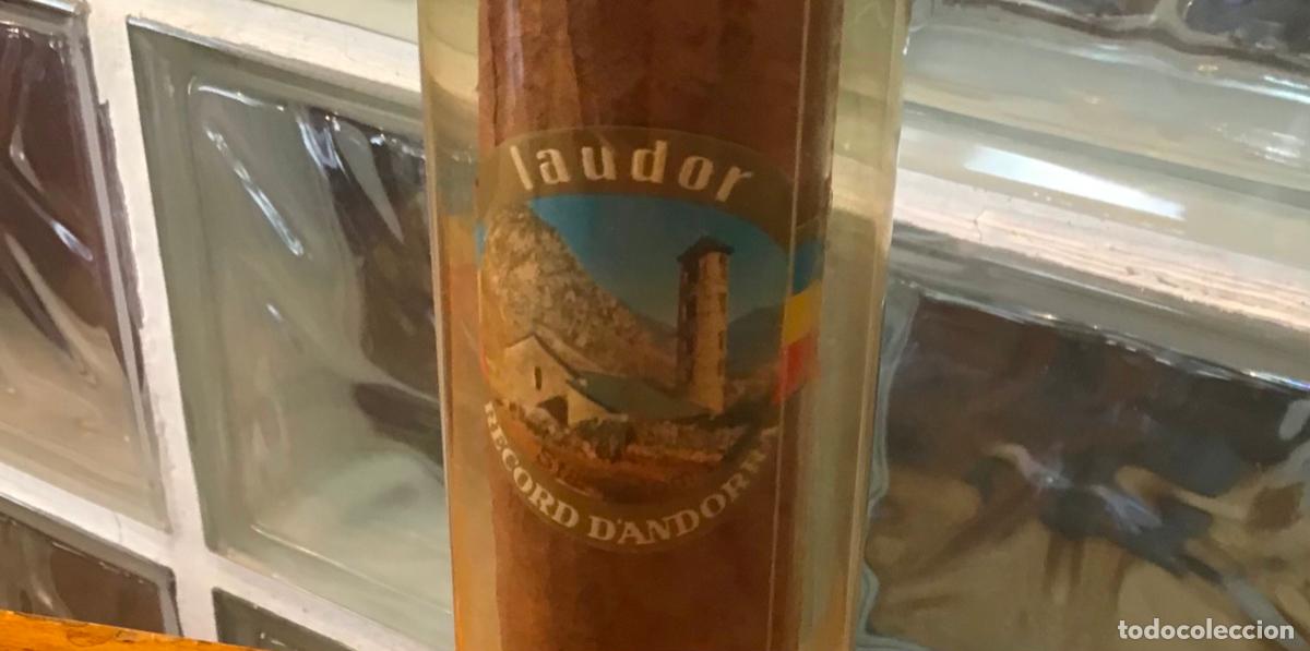 Cajas de puros: PURO DE GRAN TAMA&Ntilde;O, LAUDOR - Foto 1