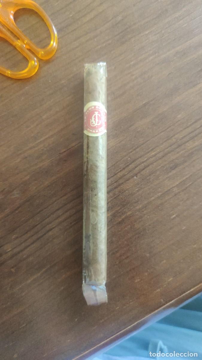 Cajas de puros: 1 unid puro Flor de Cano - Foto 1