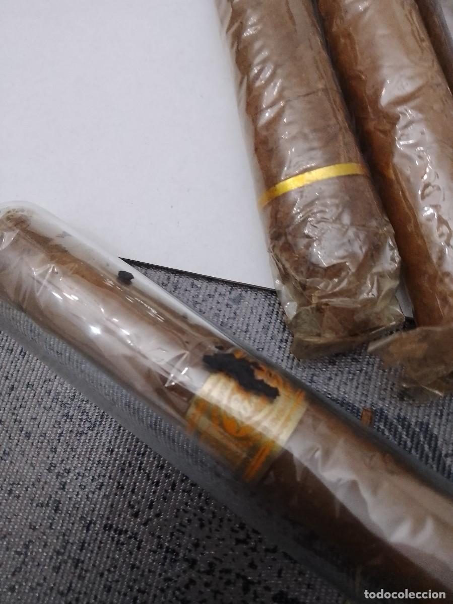 Cajas de puros: Lote de puros variados - Foto 7
