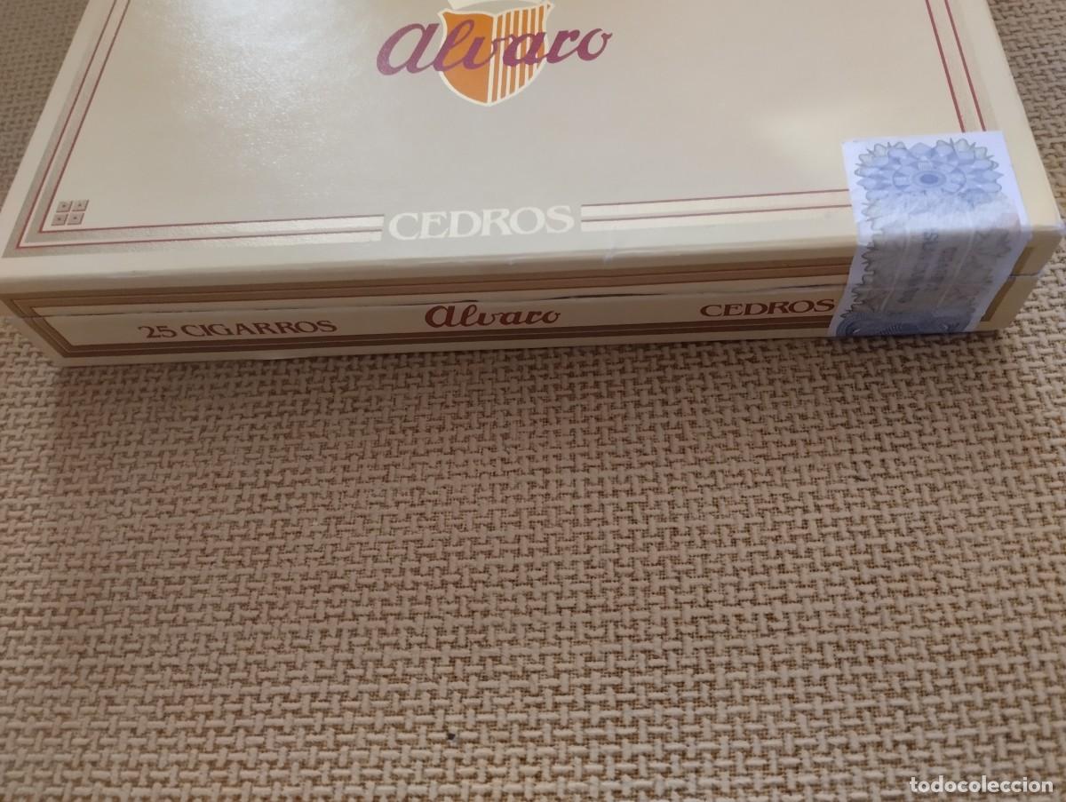 Cajas de puros: Caja de Puros Cedros Alvaro - Foto 4