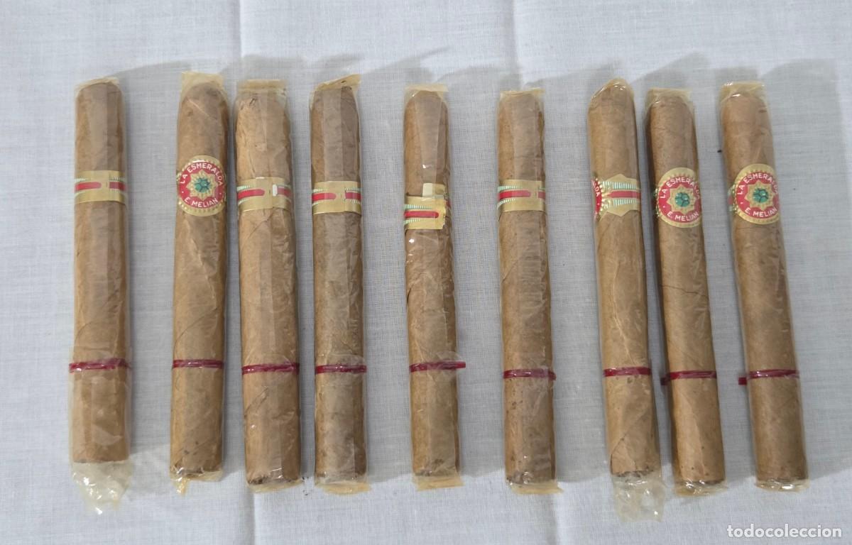Cajas de puros: Doce puros, La Esmeralda - Foto 7