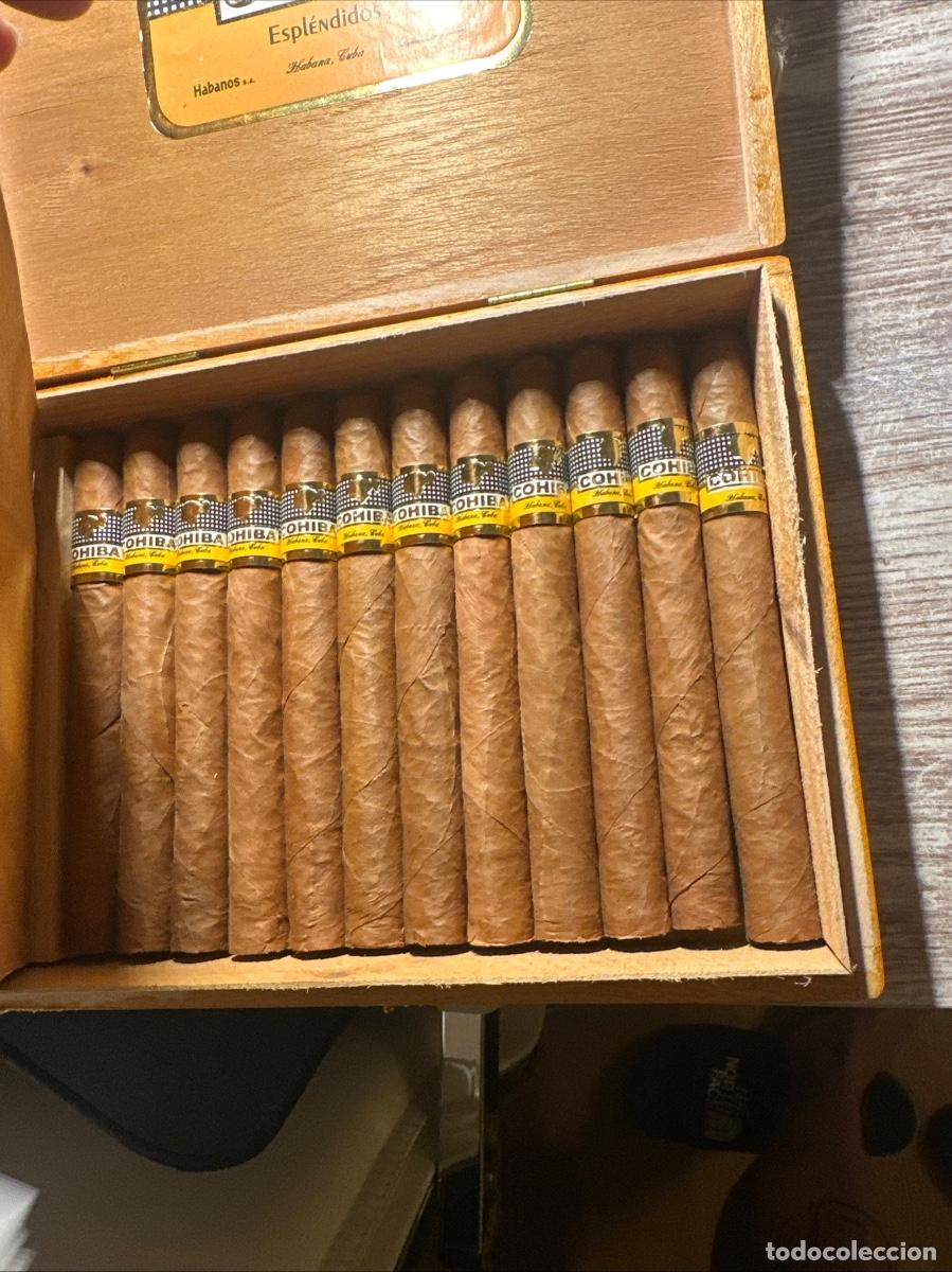 Cajas de puros: Cohibas espl&eacute;ndidos cubanos - Foto 1