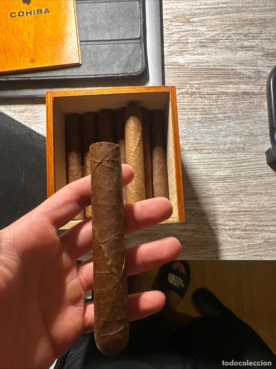 Cajas de puros: Puros robustos cubanos - Foto 2