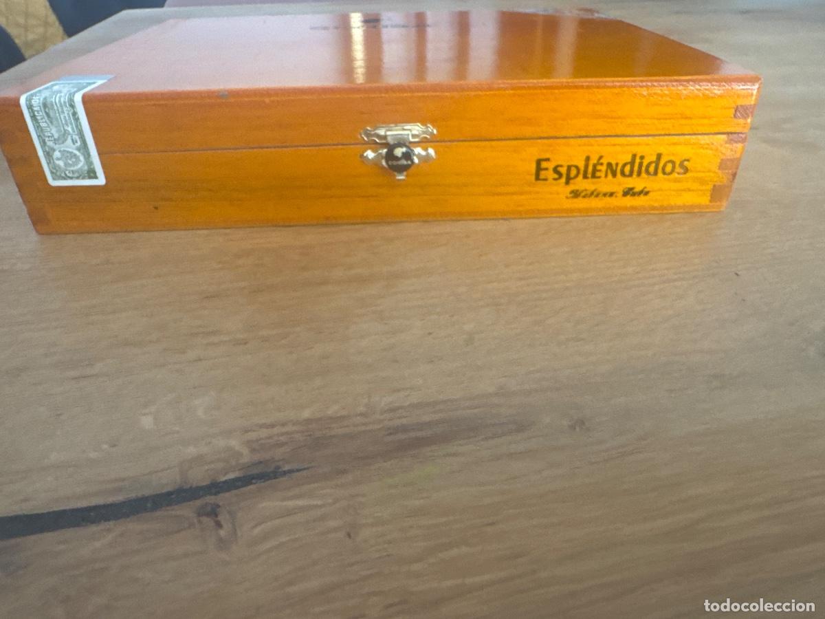 Cajas de puros: Caja Cohib&iacute;a espl&eacute;ndidos - Foto 2