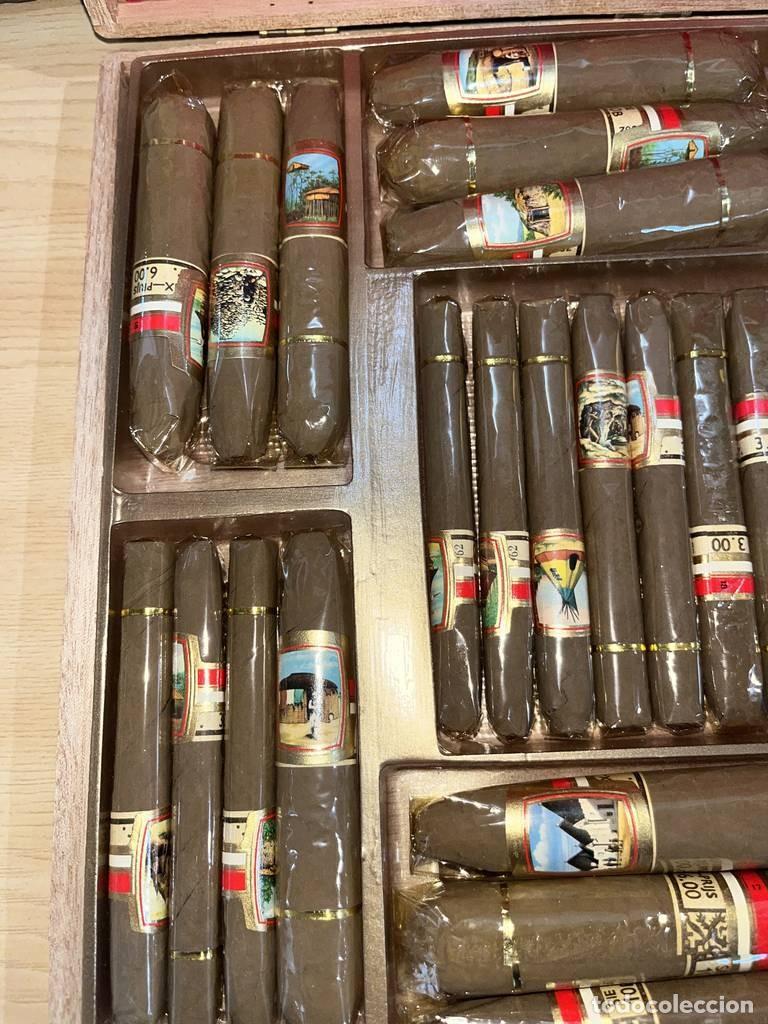 Cajas de puros: CAJA DE 36 PUROS HELP YOURSELF - Foto 3