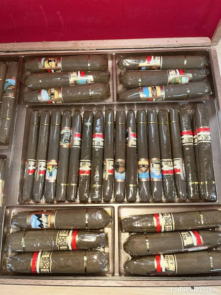 Cajas de puros: CAJA DE 36 PUROS HELP YOURSELF - Foto 4