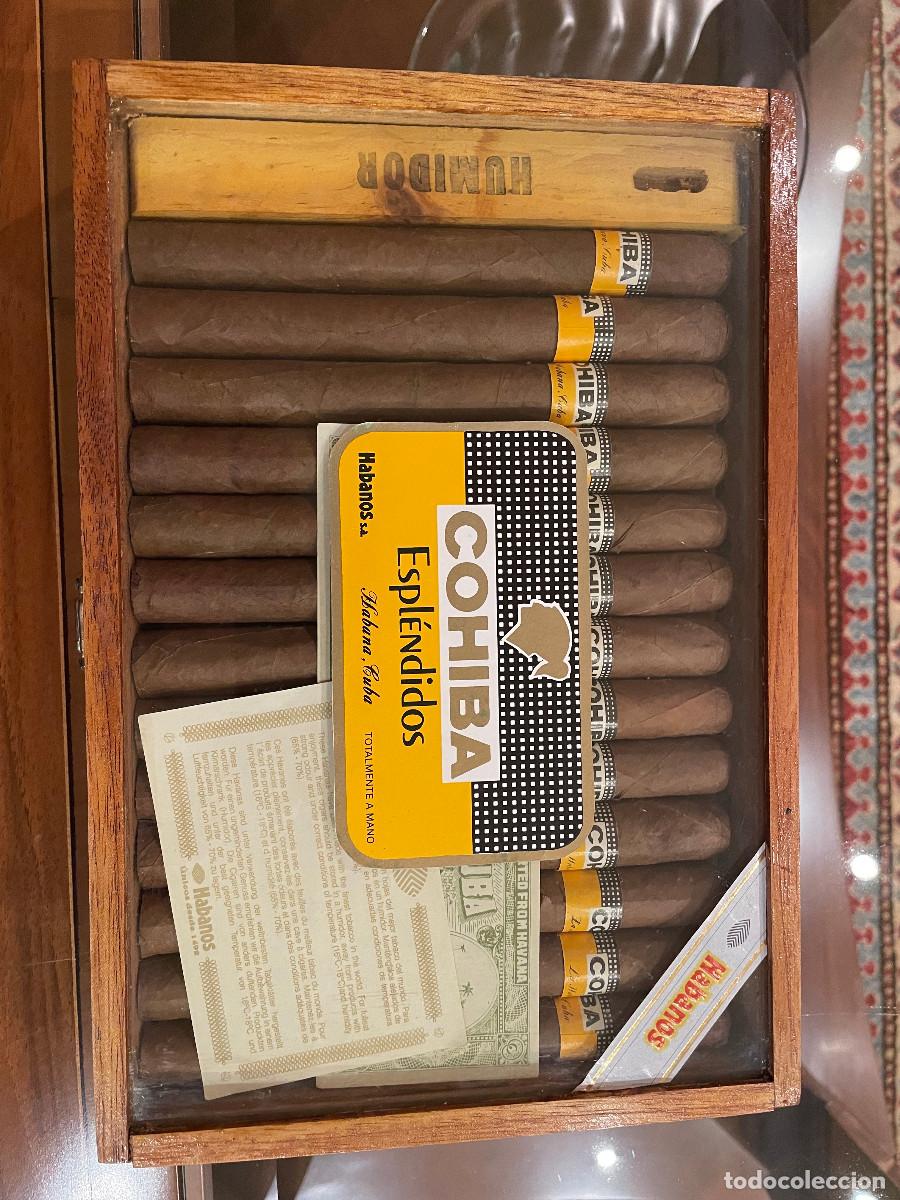 Cajas de Puros: Caja 25 puros Habanos Esplendidos con humidor