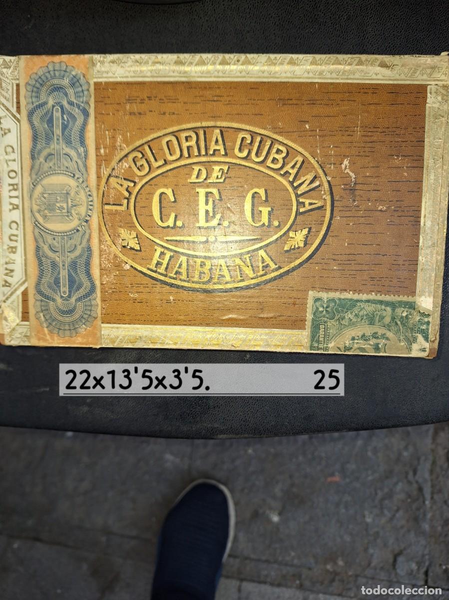 Cajas de Puros: LA GLORIA DE CUBANA caja vac&iacute;a de puros habanos