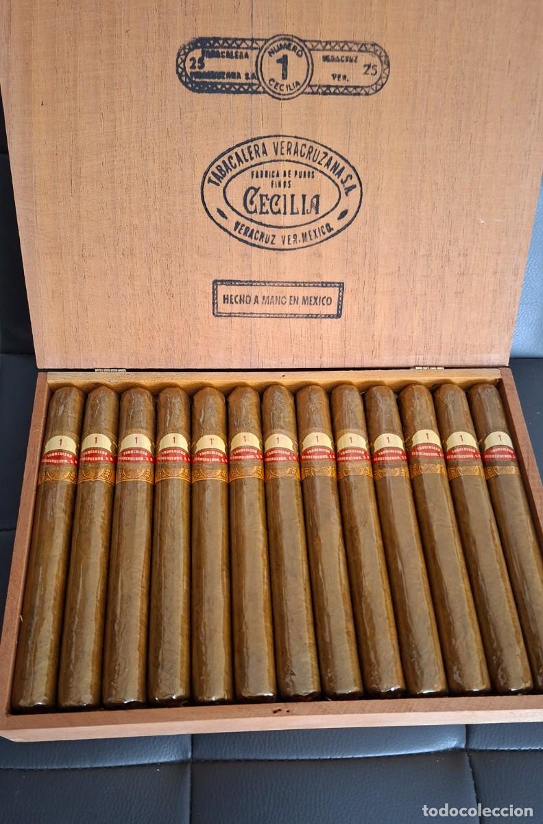 Cajas de Puros: Caja de Puros tabacalera Fabrica CECILIA 25 #1 veracruz Mexico