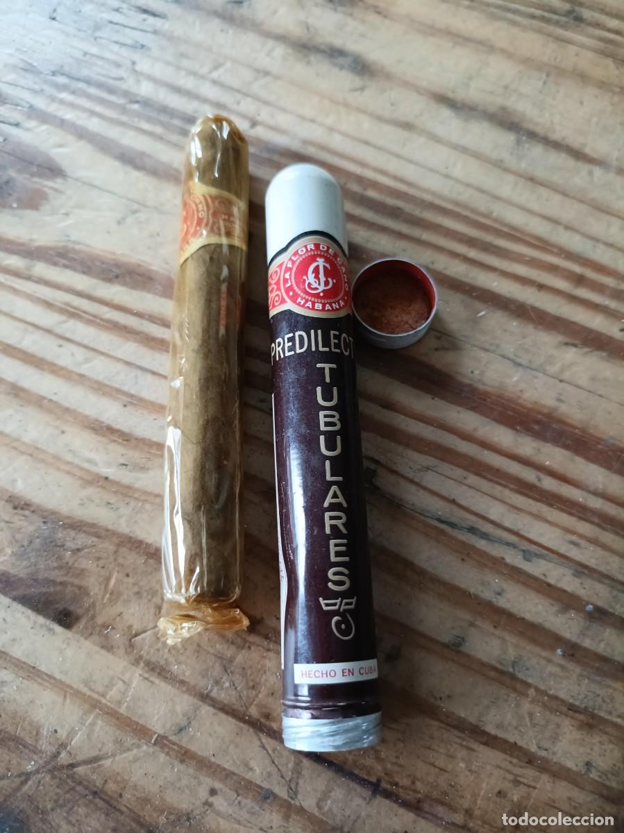 Cajas de Puros: PURO HABANO FLOR DE CANO PREDILECTOS TUBULARES