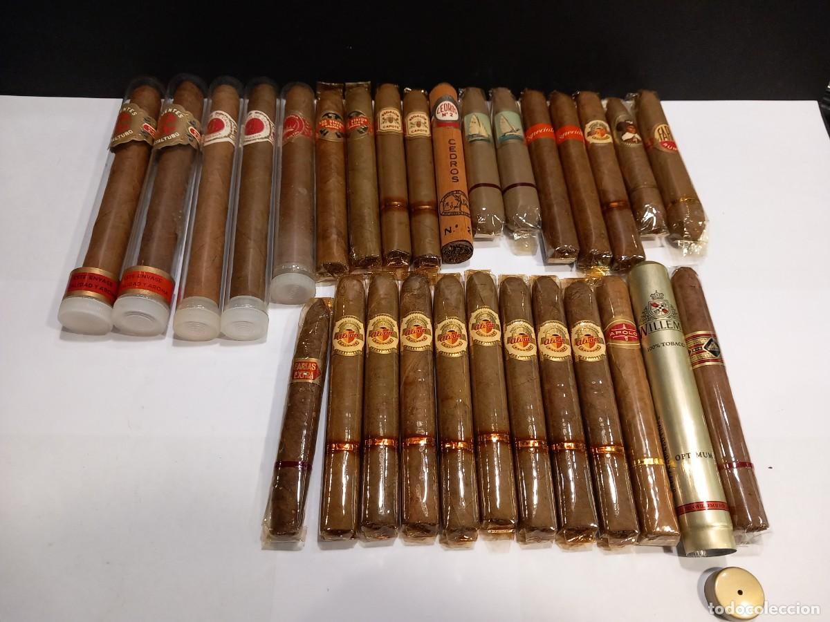 Cajas de Puros: LOTE D 28 PUROS PRECINTADOS SUELTOS (G)