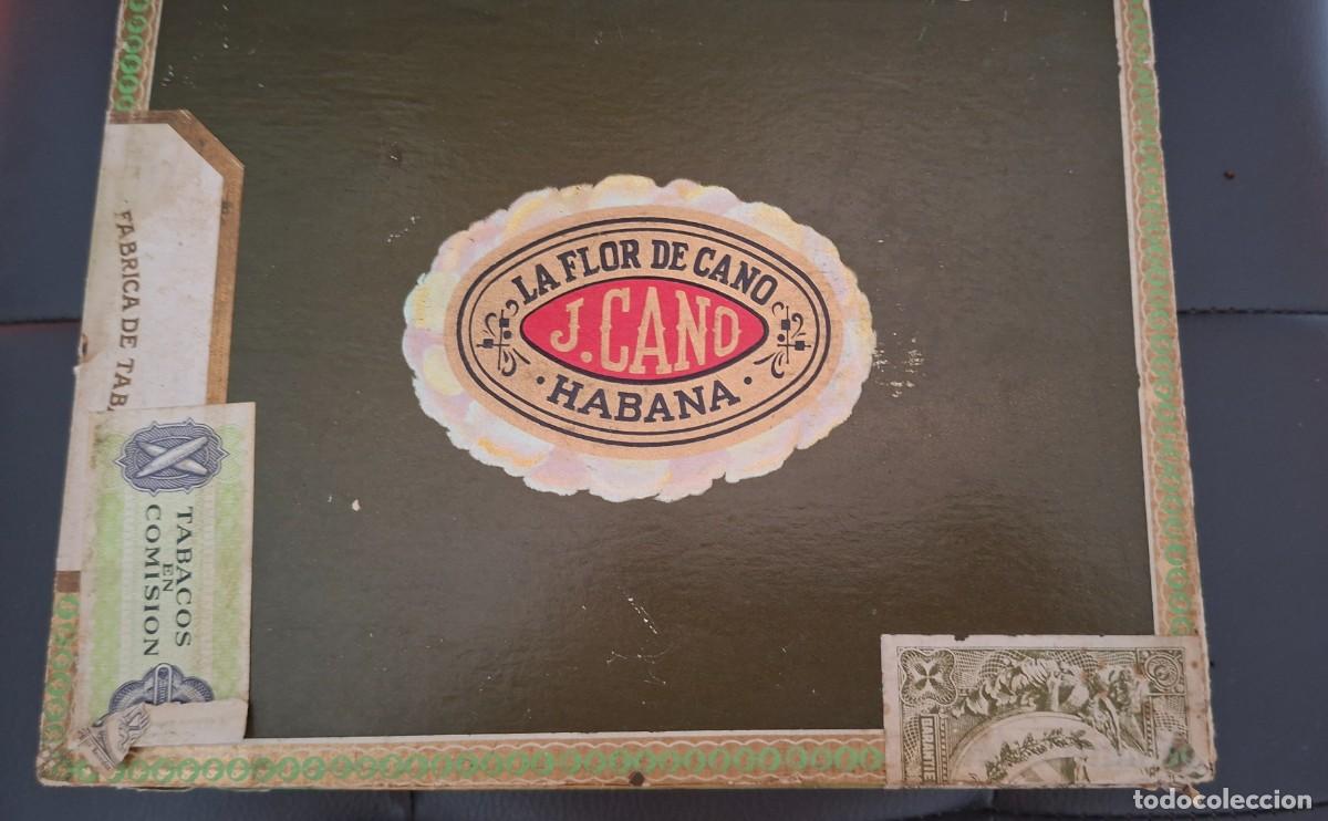 Cajas de Puros: Antigua Caja de puros habanos Flor de Cano 10 cristales Habana Cuba