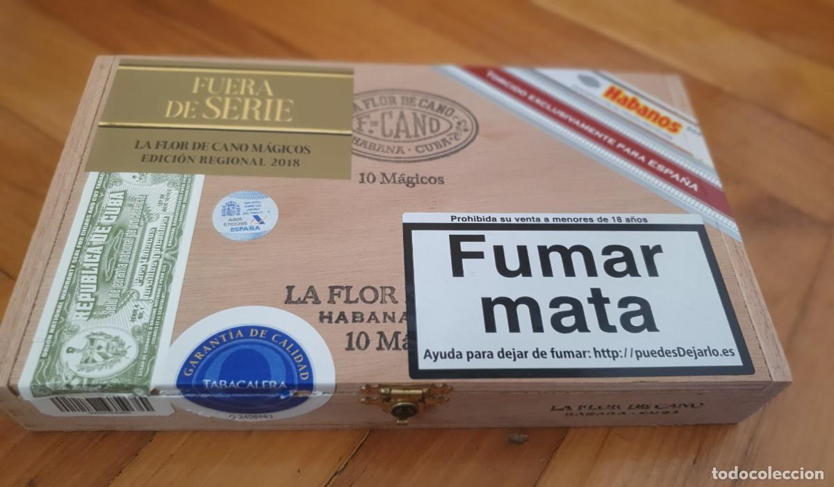 Cajas de Puros: Caja habanos flor de cano magico edicion regional 2018