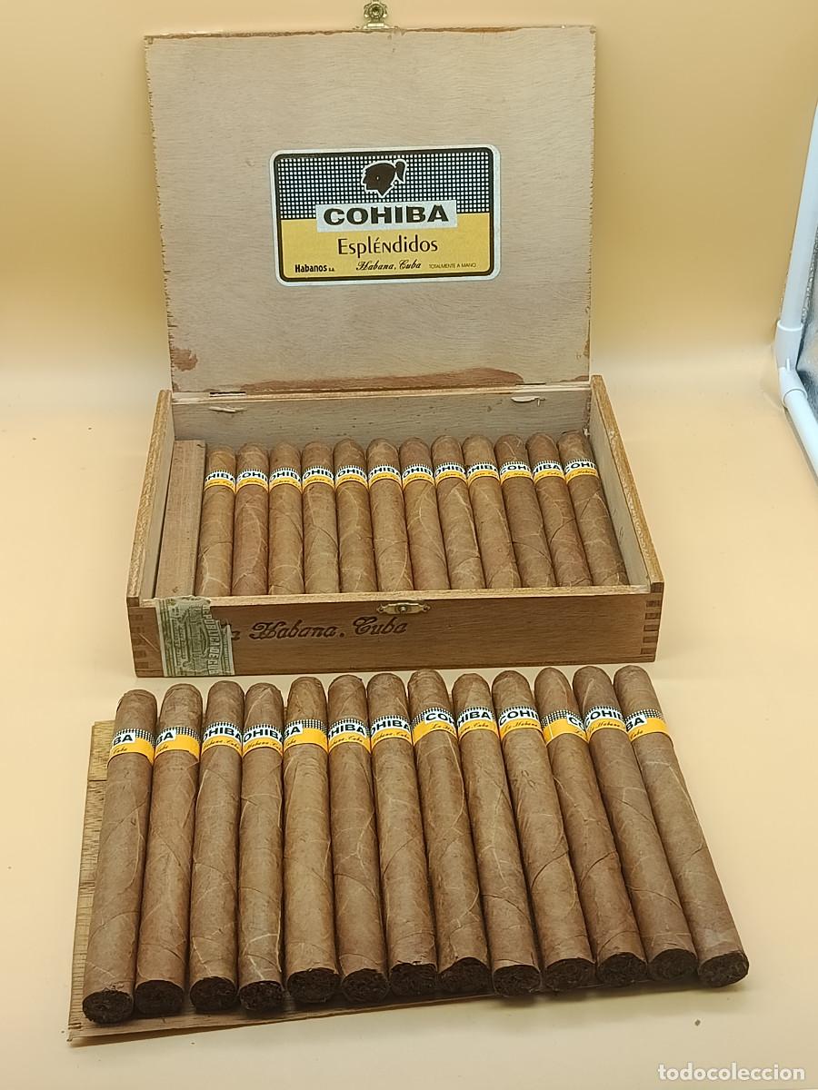 Cajas de Puros: CAJA PUROS HABANOS COHIBA COMPLETA CON 25 ESPLENDIDOS. ABIERTA.