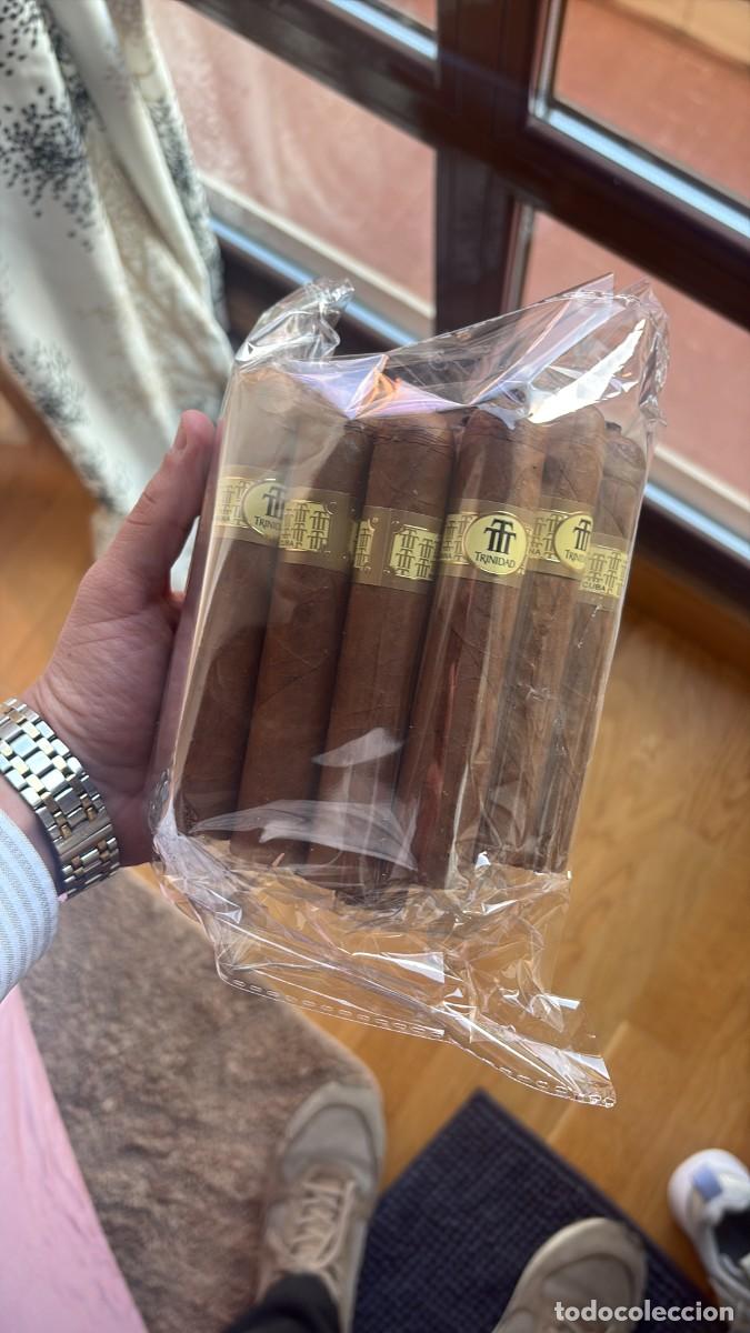 Cajas de Puros: Mazos de Habanos Cubanos
