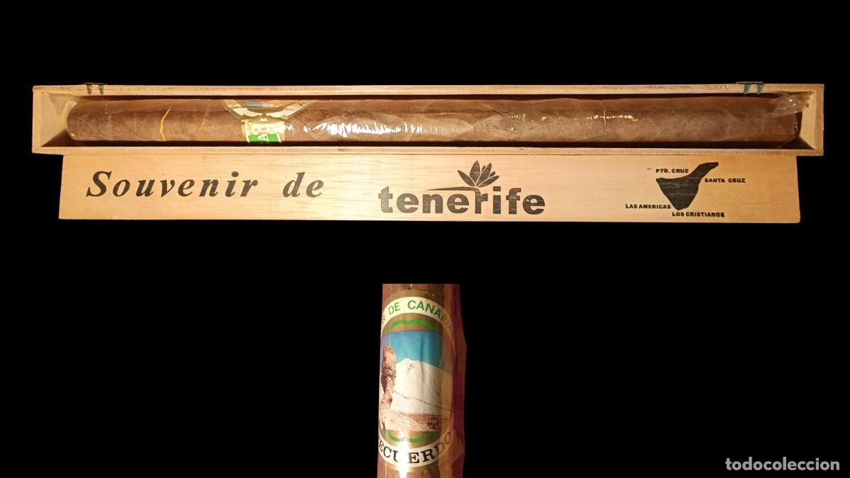 Zigarrenkisten: PURO GIGANTE SOUVENIR TENERIFE - RECUERDO DE CANARIAS - CAJA MADERA ORIGINAL - 49 CM - A&Ntilde;OS 70/80