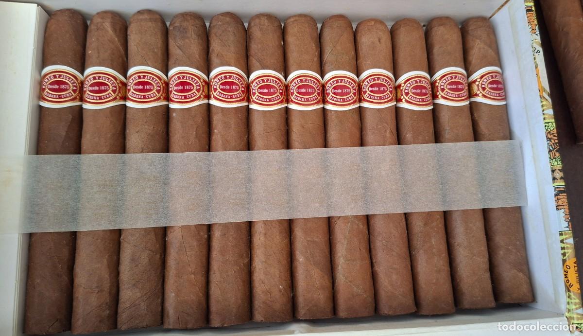 Cajas de Puros: Caja de puros habanos Romeo y julieta 25 mille Fleurs Habana cuba