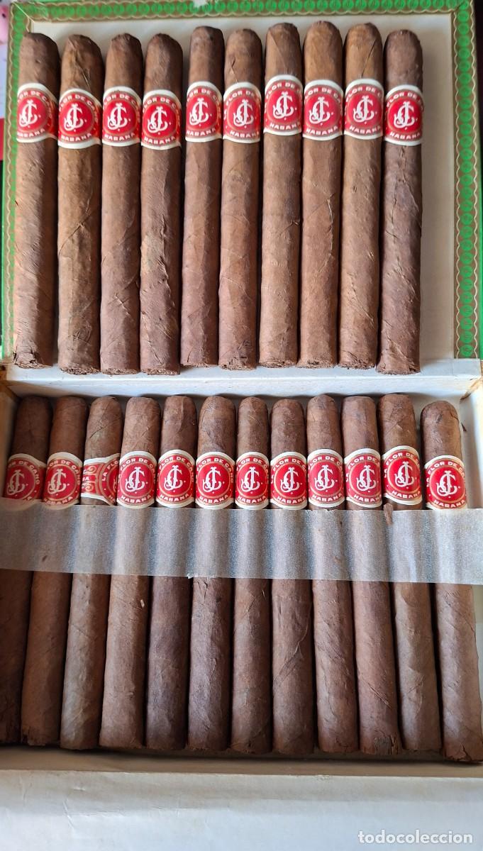 Cajas de Puros: Caja de puros habanos Flor de Cano 25 preferidos habana cuba