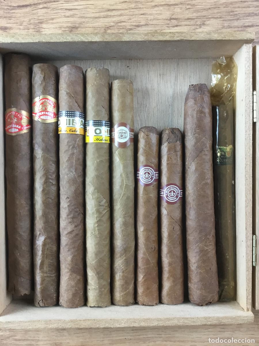 Cajas de Puros: CAJA DE PUROS VARIOS - COHIBA - MONTECRISTO - HABANO PARTAG&Aacute;S - MONTE NEGRO - DINO