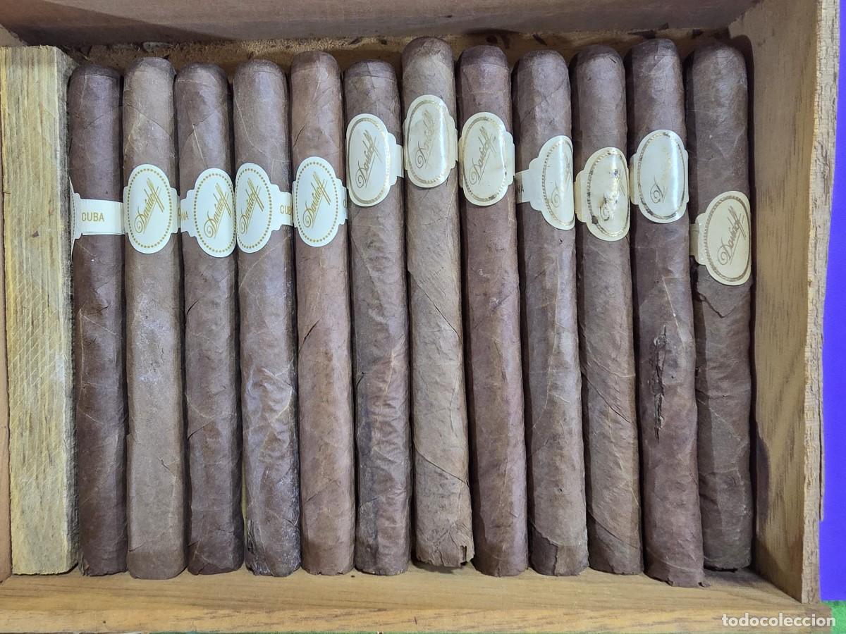 Cajas de Puros: Caja de puros habanos con 19 davidoff dom perignom