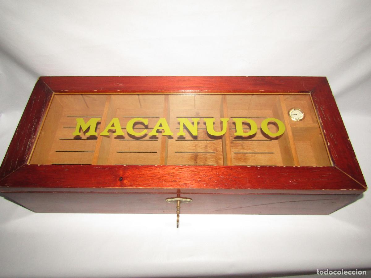 Cajas de puros: Antiguo Humidor Vitrina Expositora de Gran Tama&ntilde;o Publicidad de Puros MACANUDO en Maderas Varias