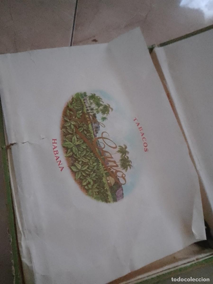 Cajas de puros: Caja vac&iacute;a flor del j. Cano - Foto 6