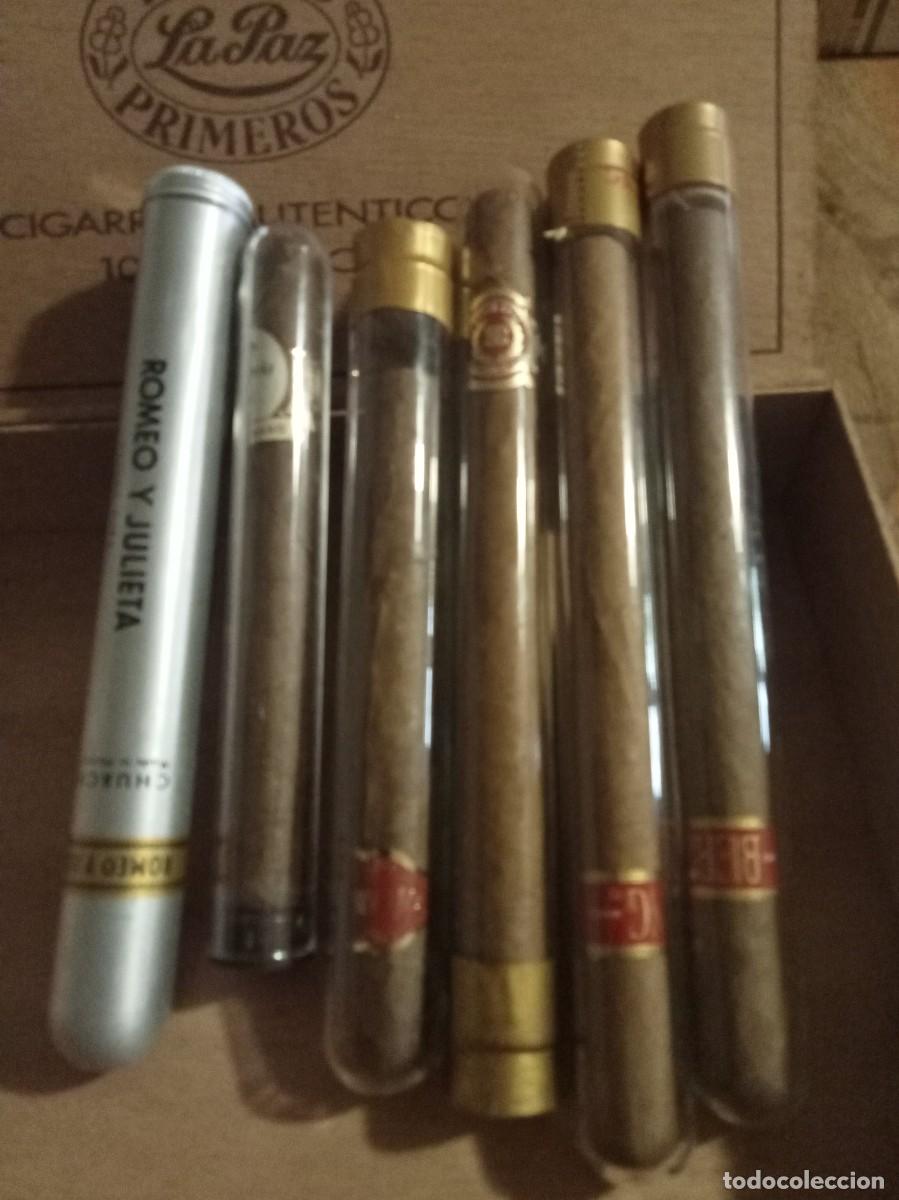 Cajas de puros: LOTE DE 5 PUROS EN TUBOS Y C&Aacute;PSULA VACIA DE CHURCHILL