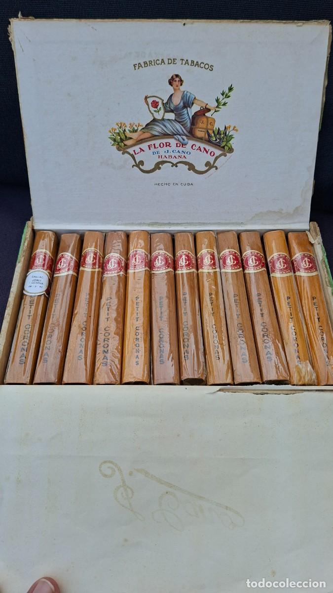 Cajas de puros: Caja de puros habanos Flor de Cano petit coronas habana cuba